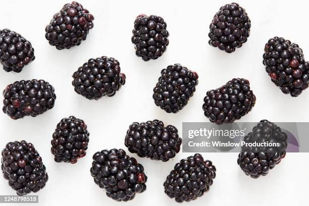 blackberries on white background - blackberry fruit stock pictures, royalty-free photos & images