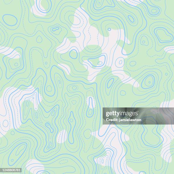 illustrations, cliparts, dessins animés et icônes de lignes de contour topographique transparentes - carte topographique