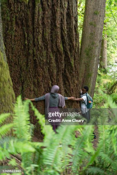 Woman and brother hugging old growth tree while exploring forest together
