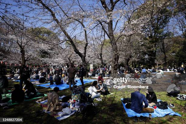 Visitors picnic under cherry trees in bloom at Ueno Park in Tokyo, Japan, on Sunday, March 19, 2023. Japan's main labor unions won their biggest wage...