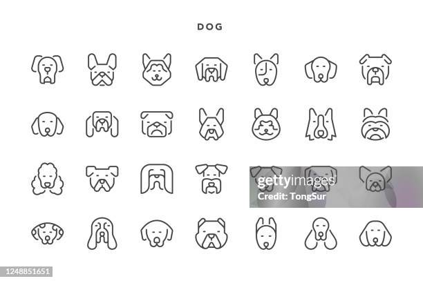 stockillustraties, clipart, cartoons en iconen met de pictogrammen van de hond - golden retriever