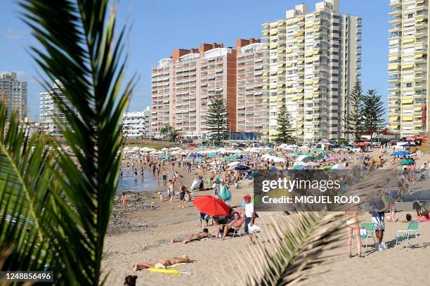 General view of a beach near downtown Punta del Este, Maldonado, 140 km east of Montevideo, on January 8, 2010. Punta del Este and its surroundings...