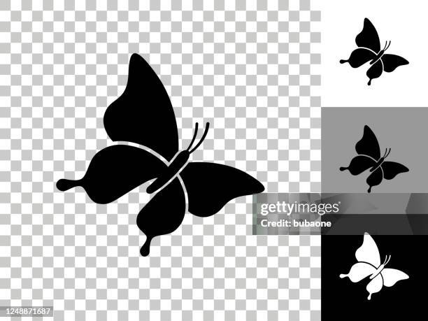 14 904点の蝶イラスト素材 Getty Images 14 904点の蝶イラスト素材 Getty Images