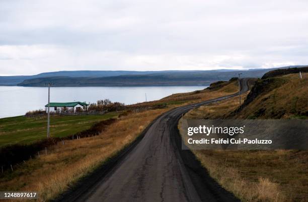 dirt road at drangsnes, westfjords, iceland - drangsnes stock pictures, royalty-free photos & images