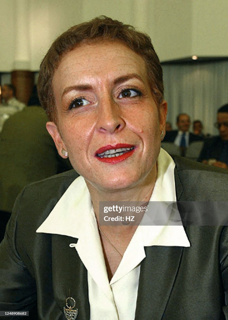 Toumi Inpt Portrait of Algeria's Information and Culture Minister and Government ...
