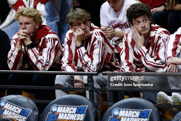 319 Sad Basketball Fan Stock Photos, High-Res Pictures, and Images - Getty Images