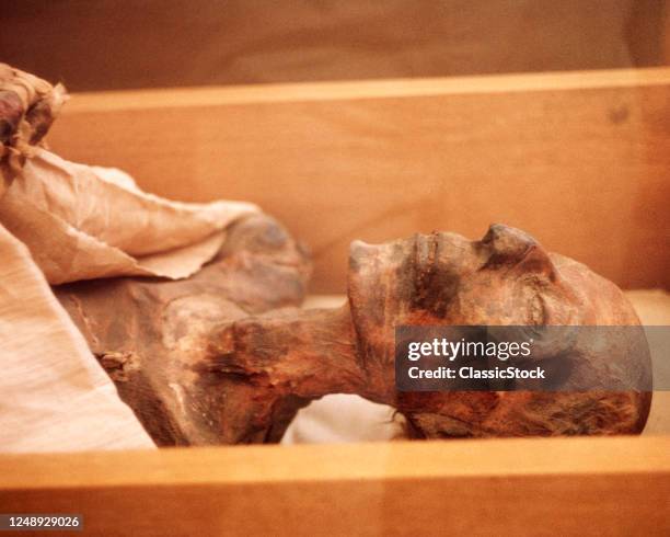 Egyptian Mummy Man Unwrapped Lying In A Wood Box In A Museum Dead Preserved Head Neck Death Immortality Science History