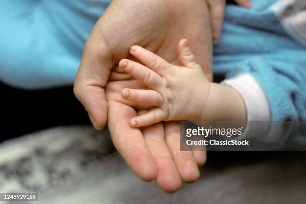 1970s Adult Hand Holding A Newborn Infant Hand