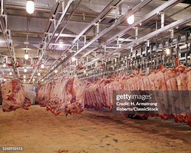 377 Beef Warehouse Stock Photos, High-Res Pictures, and Images - Getty ...