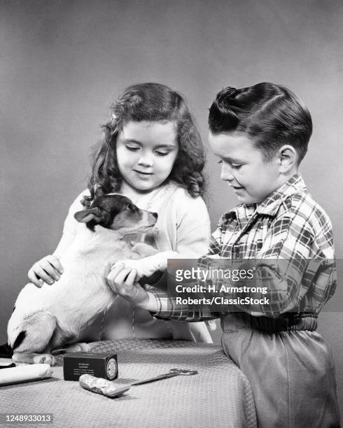 Smiling Boy And Attentive Girl Brother And Sister Playing Veterinarian Administering First Aid To Pet Dog