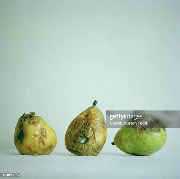 Pears When Rotten Inside 76 Rotting Pear Stock Photos, High-Res Pictures, and Images - Getty Images
