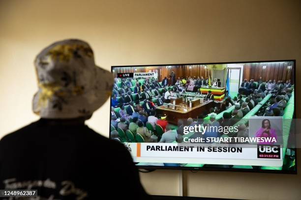 Ugandan transgender woman who was recently attacked and currently being sheltered watches a TV screen showing the live broadcast of the session from...