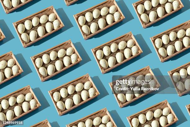 baskets with animal eggs on the blue background - eggs in basket stock-fotos und bilder