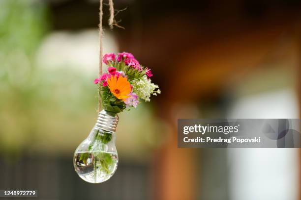 small flowers in a lightbulb in backyard - garden decoration stock pictures, royalty-free photos & images