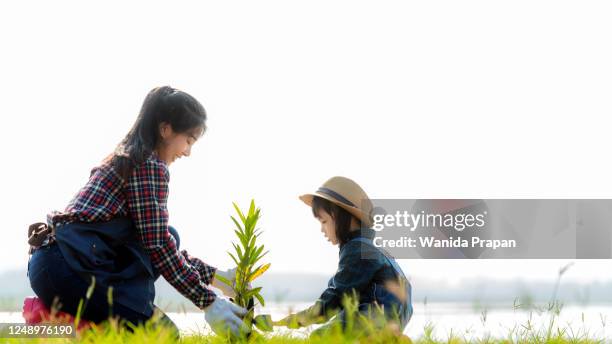 asian family mom and kid daughter plant sapling tree outdoors in nature spring for reduce global warming growth feature and take care nature earth. environment concept - family planting tree foto e immagini stock