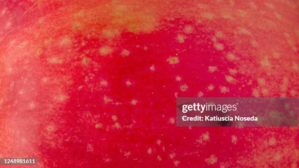 wallpaper - peau de fruit photos et images de collection