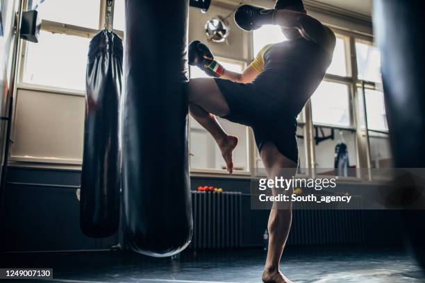 mann kick boxer training allein in der turnhalle - free fight stock-fotos und bilder