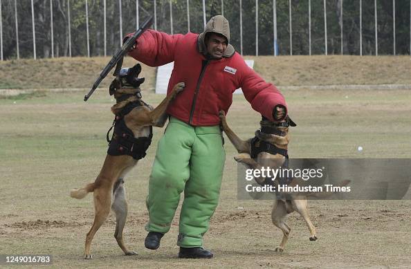 National Security Guards dog commando K9 attack on a terrorist
