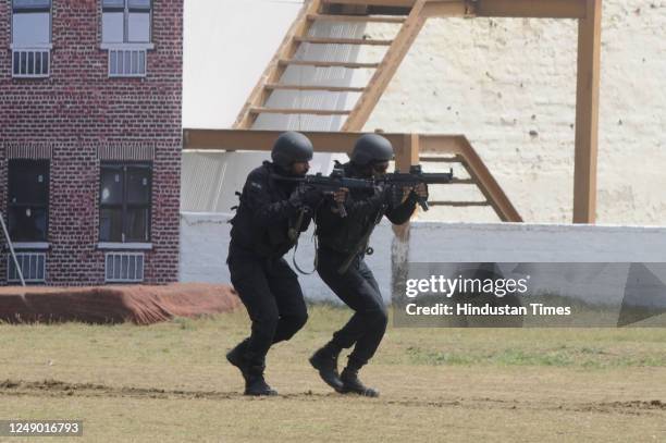 Octopus Commando 4,425 Counter Terror Operation Stock Photos, High-Res Pictures, and ...
