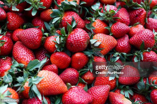 Strawberries are seen at the marketplace in Krakow, Poland on March 21, 2023.