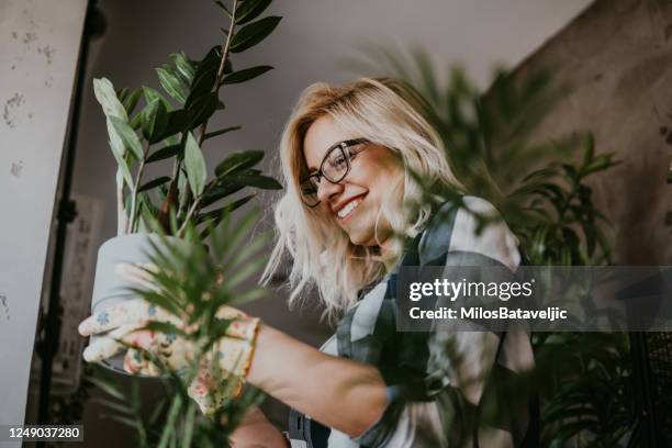 tempo livre para jardinagem de casinha - planta de interior - fotografias e filmes do acervo