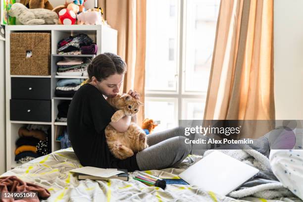 19-years-old girl sitting on a bed in a room and holding and petting a big tabby cat - girls bedroom stock pictures, royalty-free photos & images