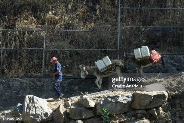 Man pulls along the donkey carrying jerry cans with full of water as the inhabitants use donkeys to be able to transport water to their homes in...