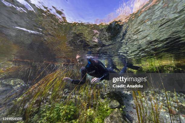 An underwater view of Sakaryabasi, which was designated a "Natural Site-Qualified Natural Protection Area" by the Ministry of Environment and...