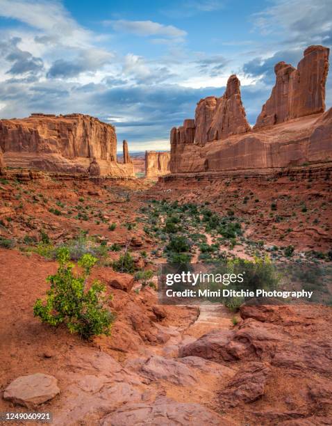 park avenue in arches national park - moab stock pictures, royalty-free photos & images