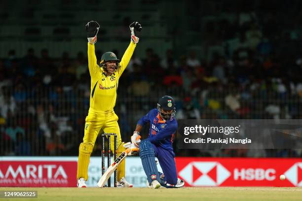 Alex Carey of Australia appeals unsuccessfully during game three of the One Day International series between India and Australia at MA Chidambaram...