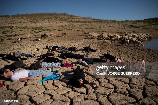 Activists lay on the dry ground near sheep during an environmental Global Climate Action demonstration, calling for climate action in the La Vinuela...