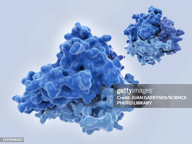 tumour necrosis factor-alpha, molecular model - molecular structure stock illustrations