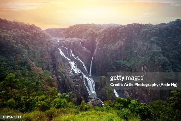 view of the barron falls, atherton tablelands, cairns, tropical north queensland, australia - canyon stock pictures, royalty-free photos & images