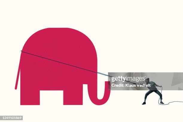 woman struggling to pull red elephant with rope - republican party 個照片及圖片檔