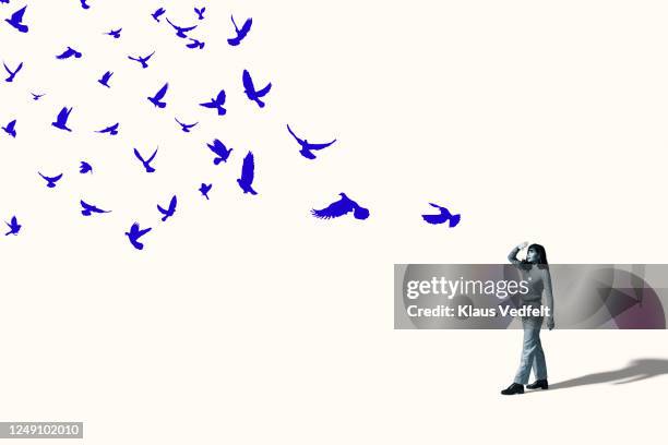 woman shielding eyes in front of flying blue birds - animal representation fotografías e imágenes de stock