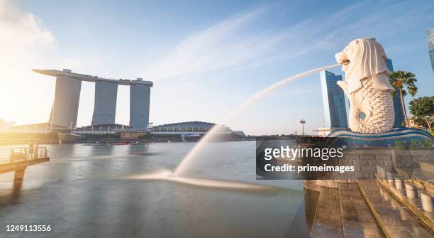 merilon statue at marina bay in singapore with tourists and singapore skyline in background on a sunny day - singapore imagens e fotografias de stock