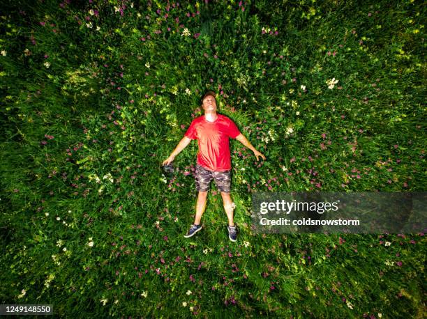 vue aérienne de l’homme se trouvant vers le bas dans le champ de fleur - pré vu du ciel photos et images de collection