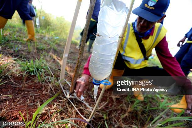 Volunteer seen caring for tree seedlings by infusion water during the commemoration of world tree day in Bandung, West Java, on November 21, 2019.
