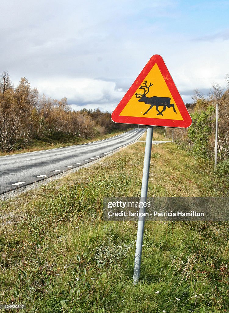 Reinder Sign Reindeer Warning Sign High-Res Stock Photo - Getty Images
