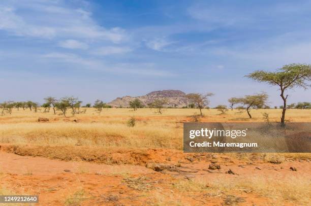 rocky mountains around the city of douentza, mali, africa - 西アフリカ マリ共和国 ストックフォトと画像