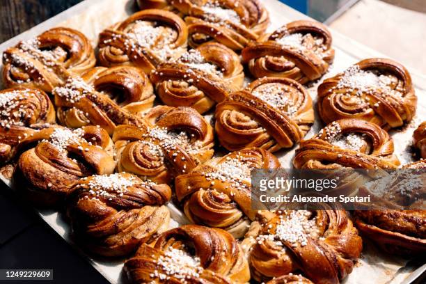 freshly baked traditional swedish cinnamon buns (kanelbullar) - swedish culture imagens e fotografias de stock