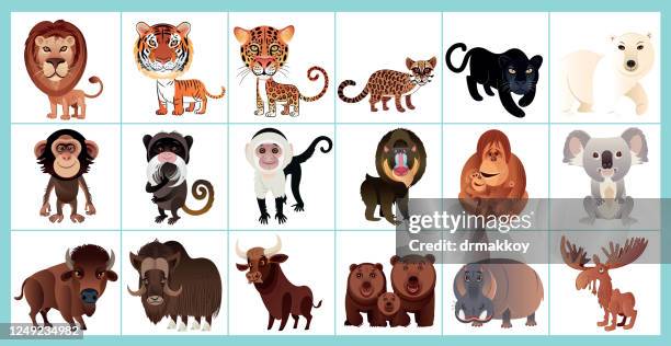 animals - orang utan stock illustrations