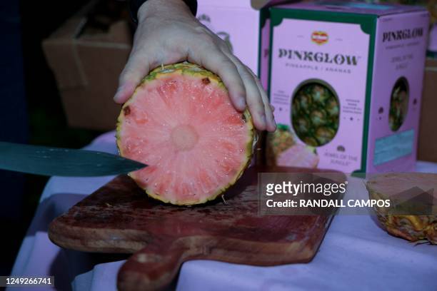 Worker cuts a pink pineapple at Del Monte Fresh company plant in Buenos Aires, Puntarenas province, Costa Rica, on March 16, 2023. - Unique in its...