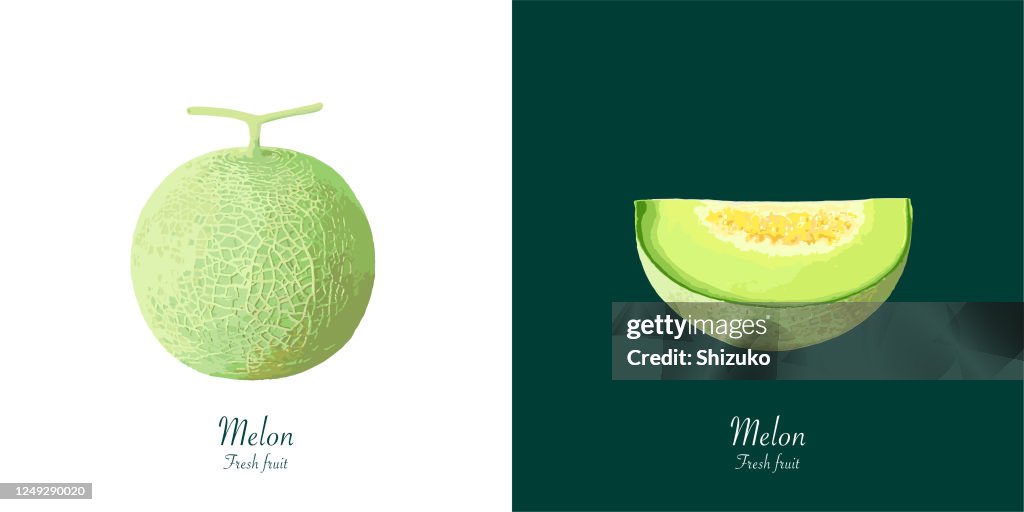 Melon from background of white and dark green