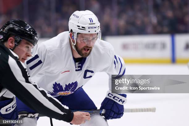 Toronto Marlies center Logan Shaw prepares to take a face-off during the first period of the American Hockey League game between the Toronto Marlies...