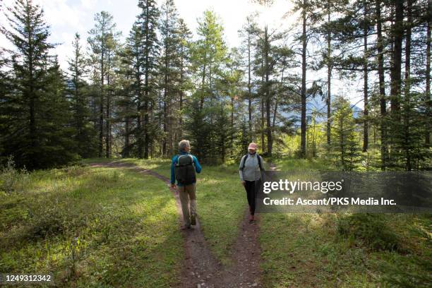 couple of hikers take different paths in the forest at sunrise - intersection stock pictures, royalty-free photos & images