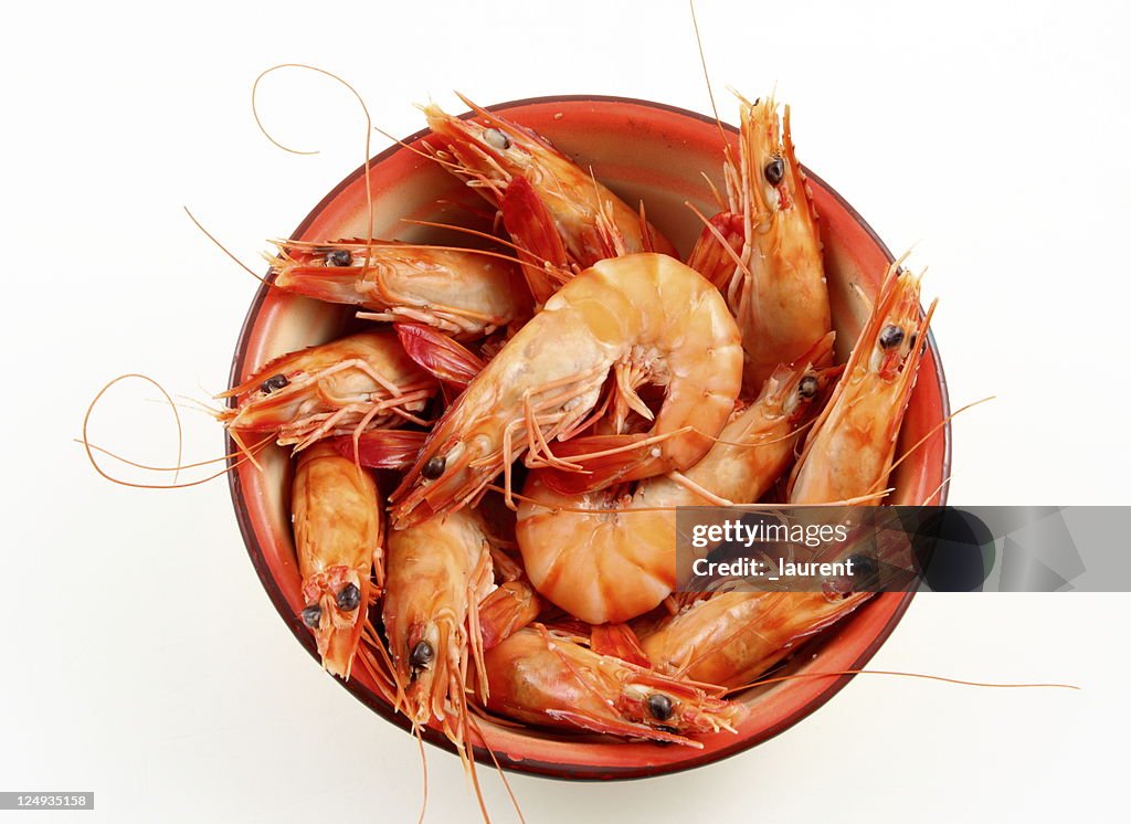 Plate of shrimps