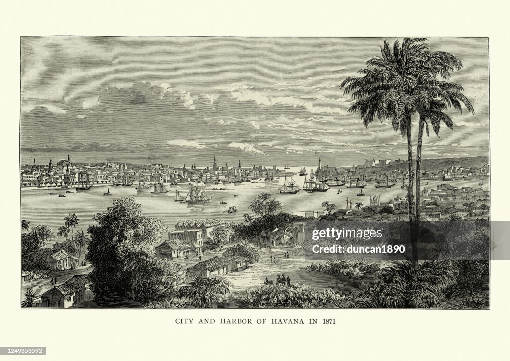 City and Harbour of Havana, Cuba, 1871, 19th Century