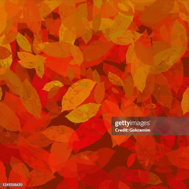hand drawn autumn leaves background. floral frame isolated background. geometric frame invitation card template with autumn leaves. vector floral border design element for birthday, thanksgiving card, wedding invitation. - fall leaf pile stock illustrations