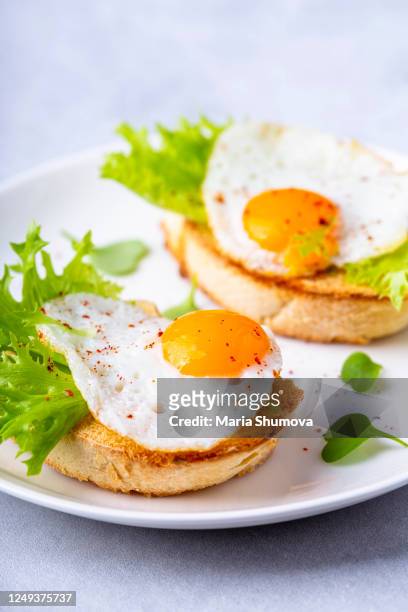 close up of a bruschetta with fried quail eggs - uovo di quaglia foto e immagini stock